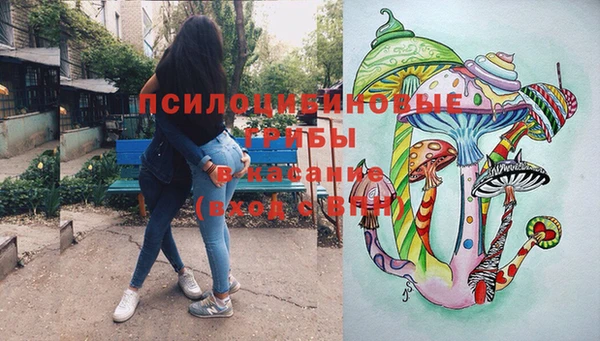 спиды Кодинск