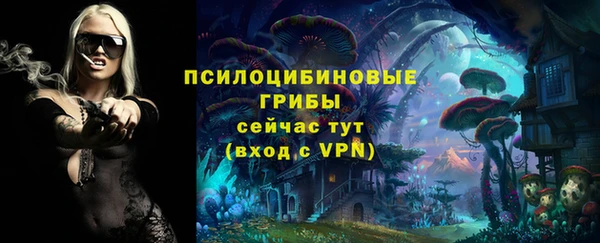 не бодяженный Краснотурьинск